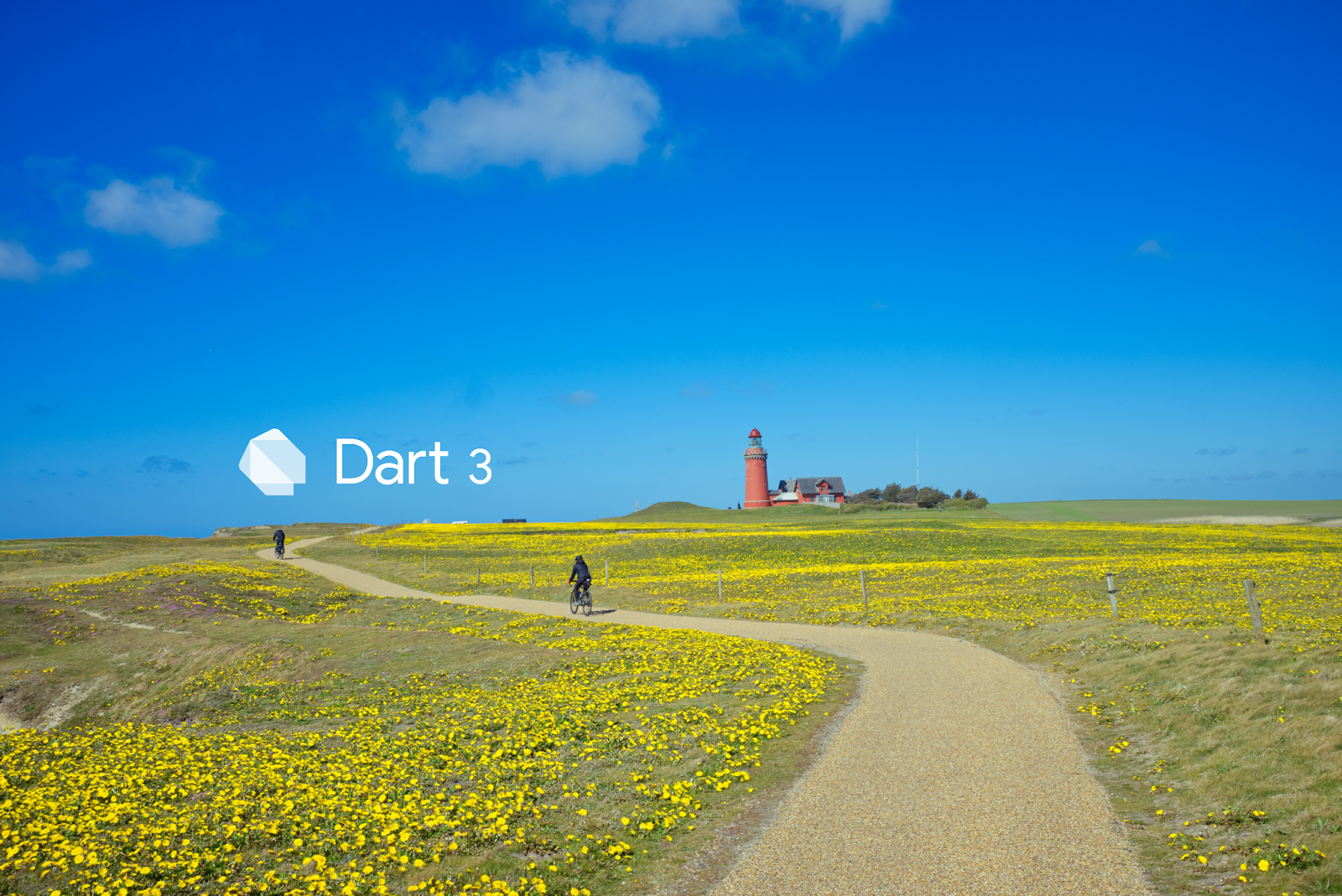 The road to Dart 3: A fully sound, null safe language